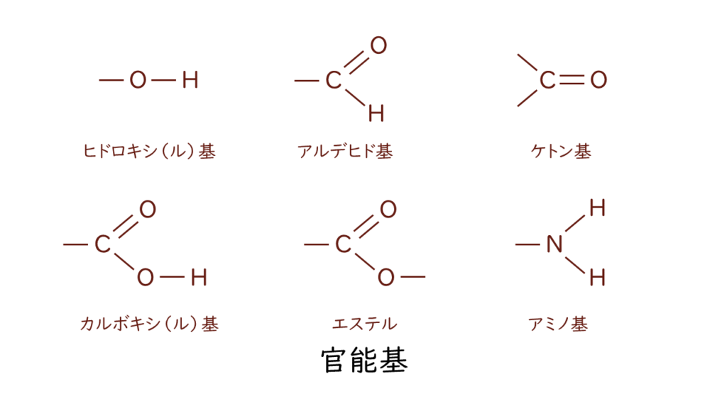 有機化合物の構造｜気になる遺伝子