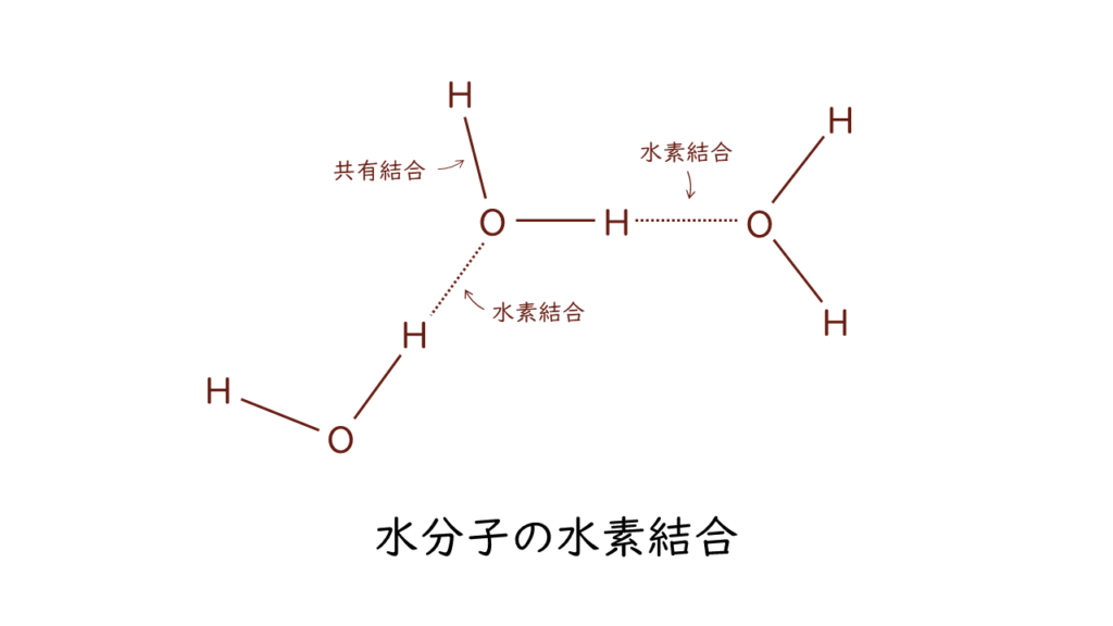 化学結合｜気になる遺伝子