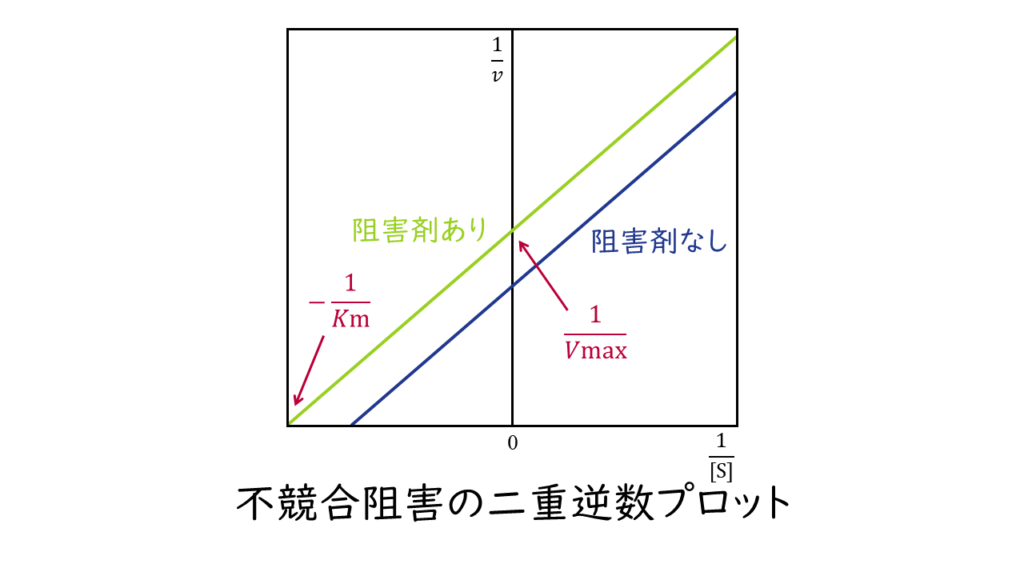 酵素反応速度論｜気になる遺伝子